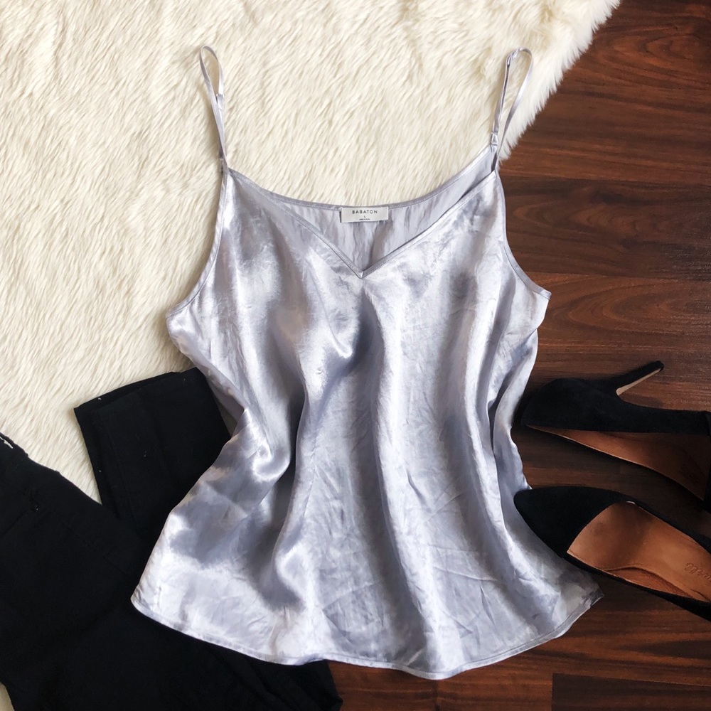 Babaton Aritzia Silver V-Neck Camisole